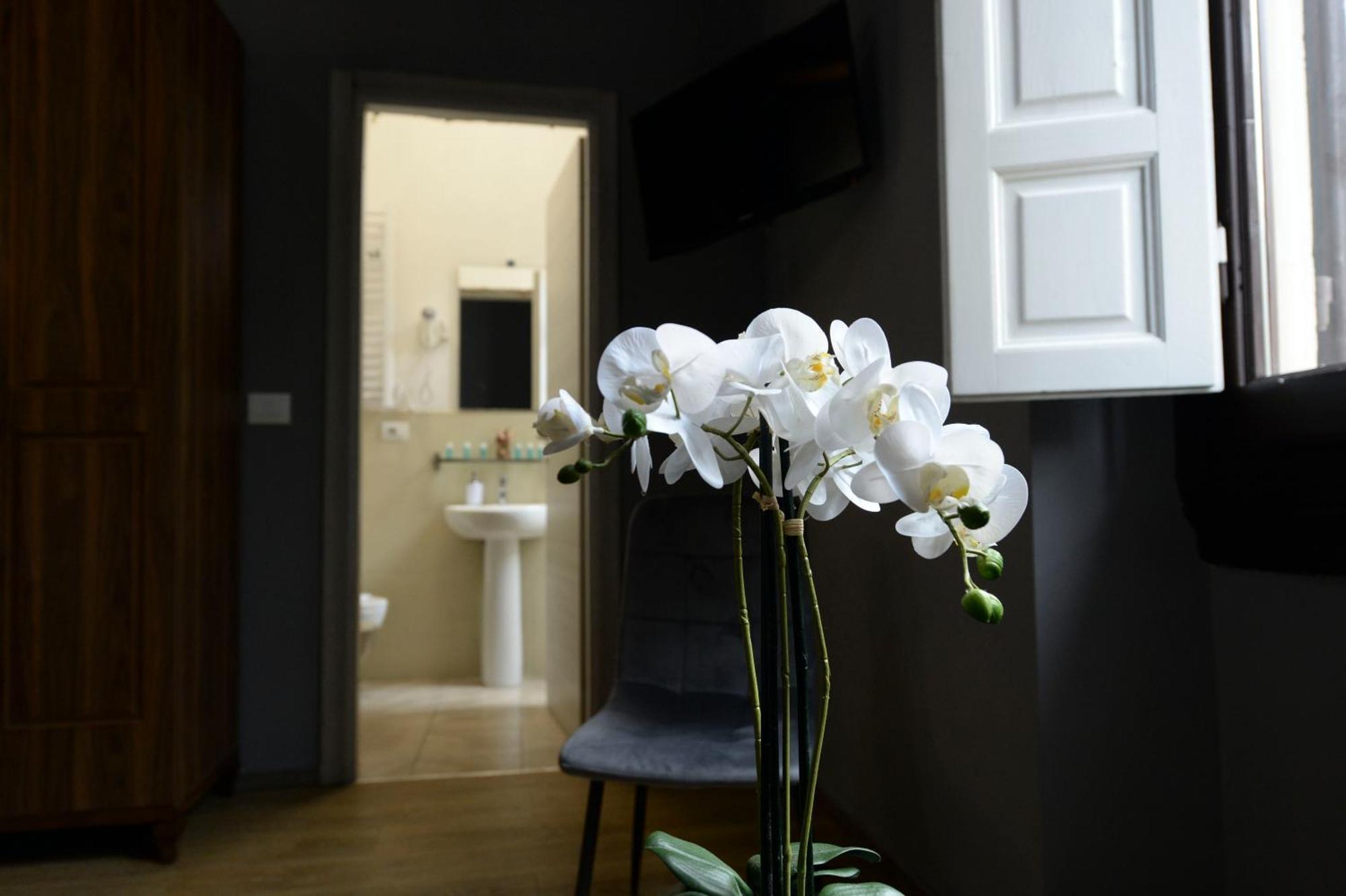 Palazzo Oliveto Bed and breakfast *